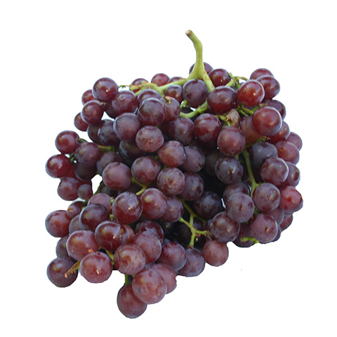 Grapes – Red